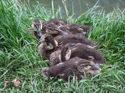 Прикрепленное изображение: u12.jpg